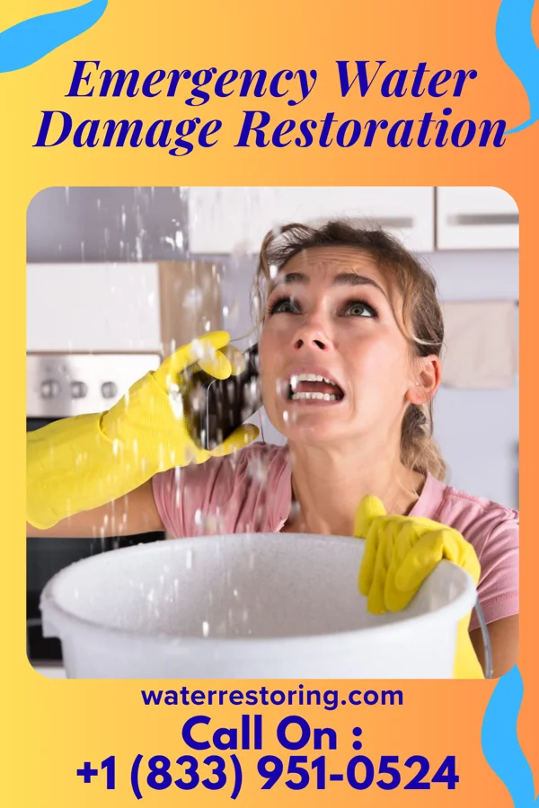 Emergency Water Damage Restoration in Norwood, MI